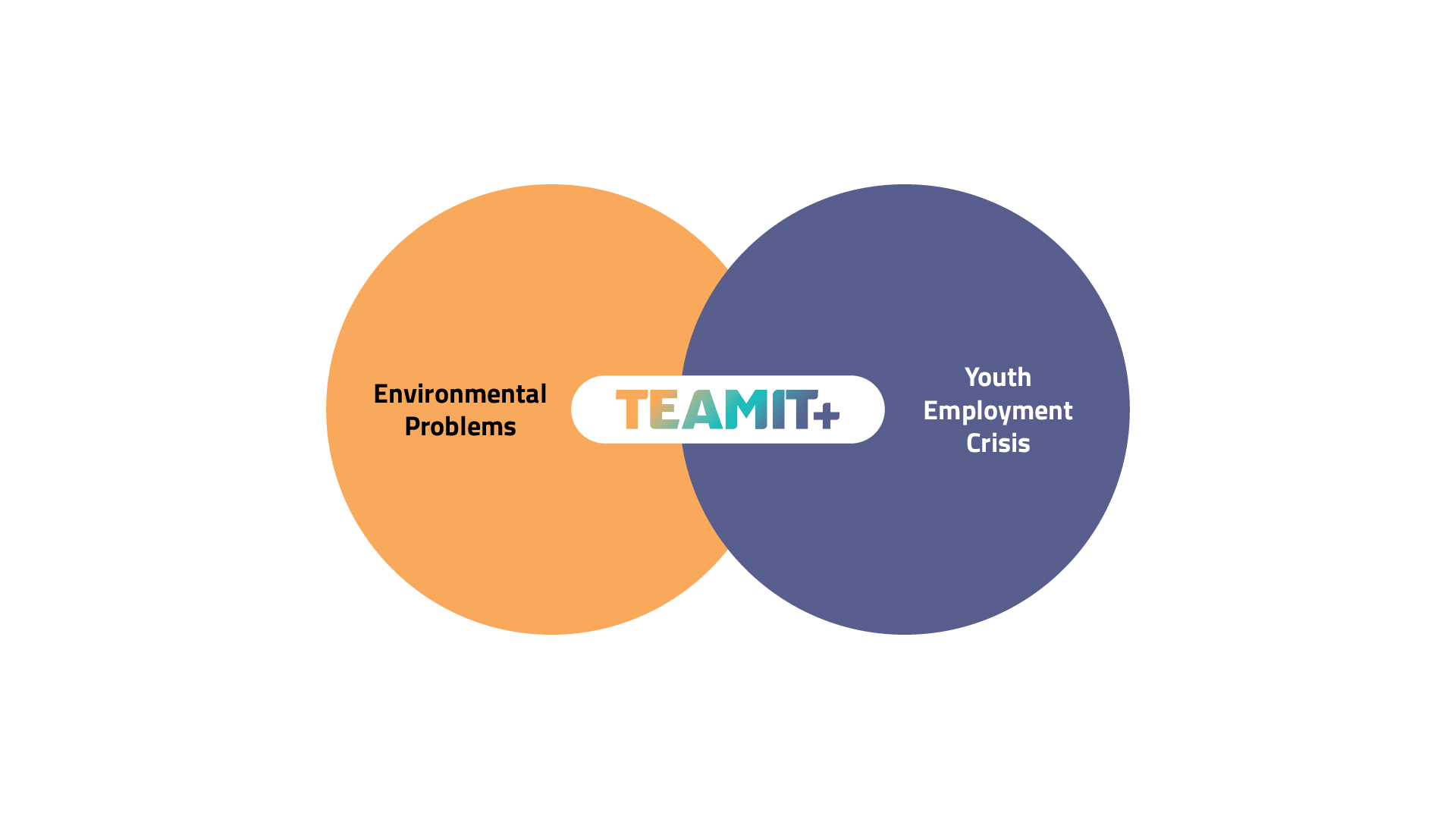 teamit whitebook why (14)